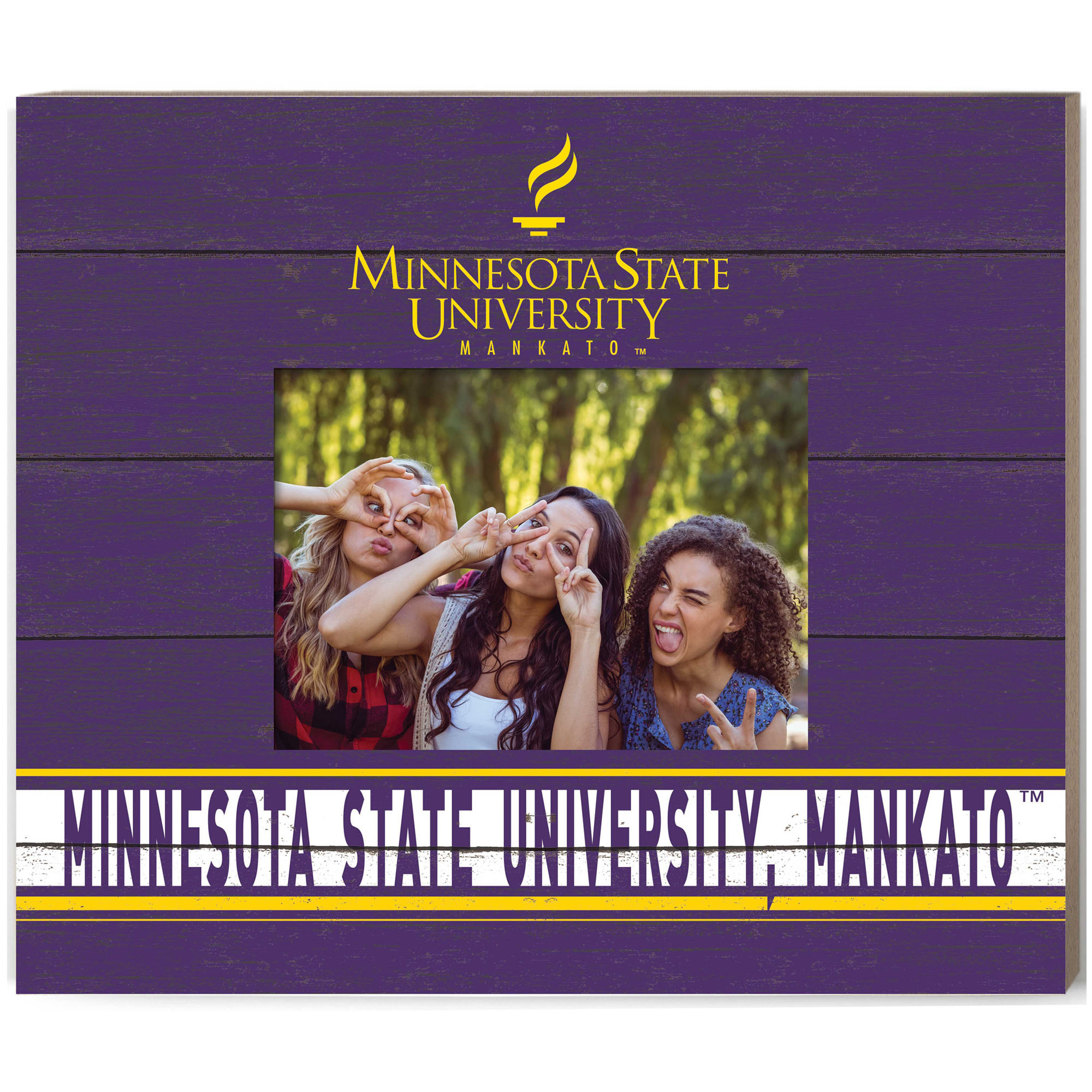 Purple Minnesota State Mavericks 11'' x 13'' Team Spirit Scholastic Picture Frame