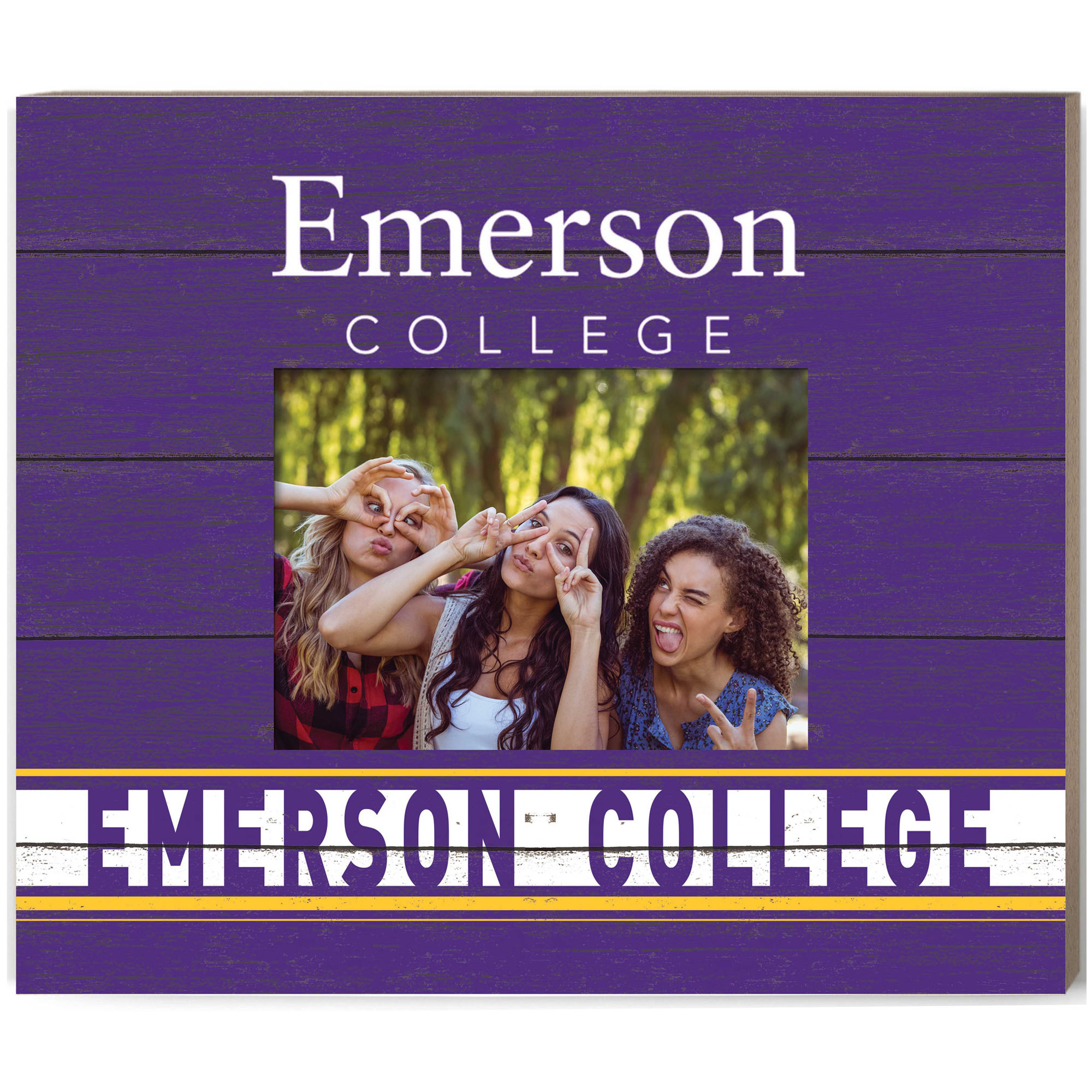 Purple Emerson College Lions 11'' x 13'' Team Spirit Scholastic Picture Frame