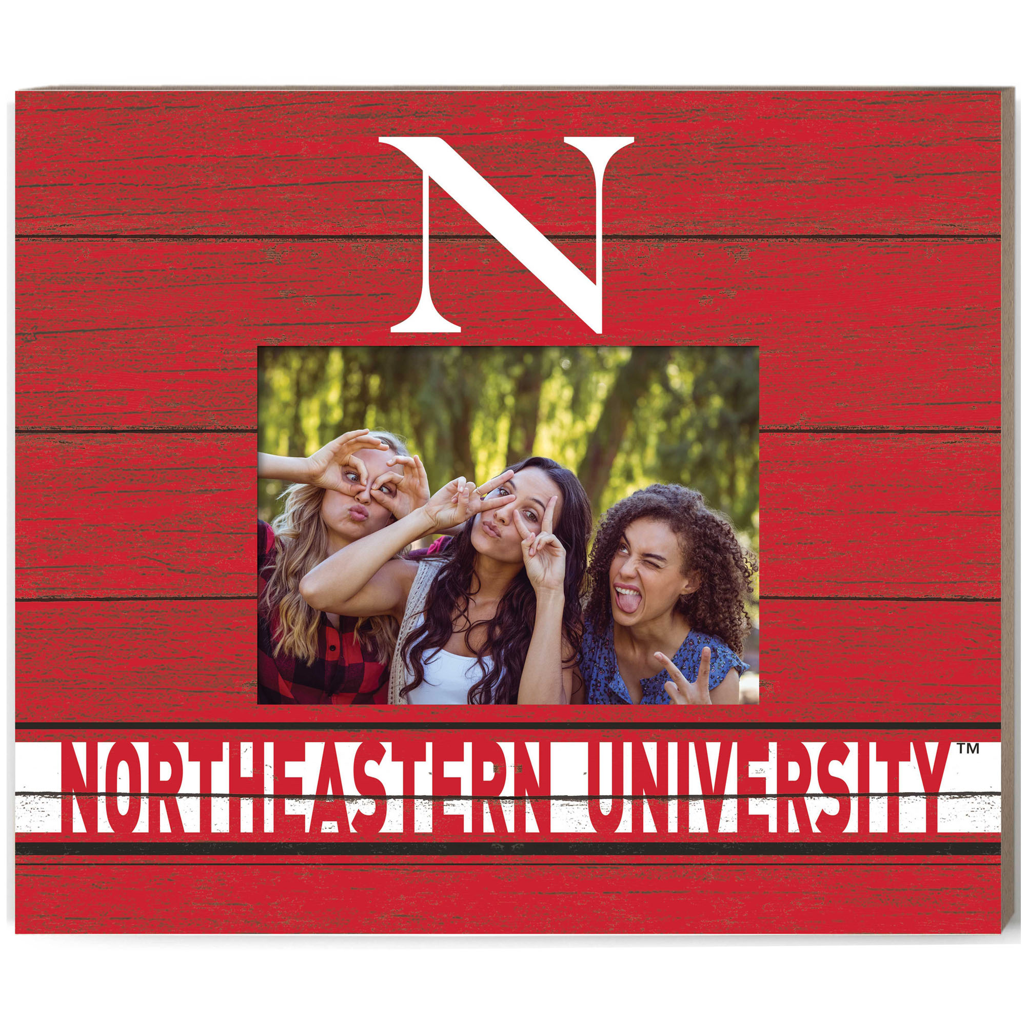 Red Northeastern Huskies 11'' x 13'' Team Spirit Scholastic Picture Frame