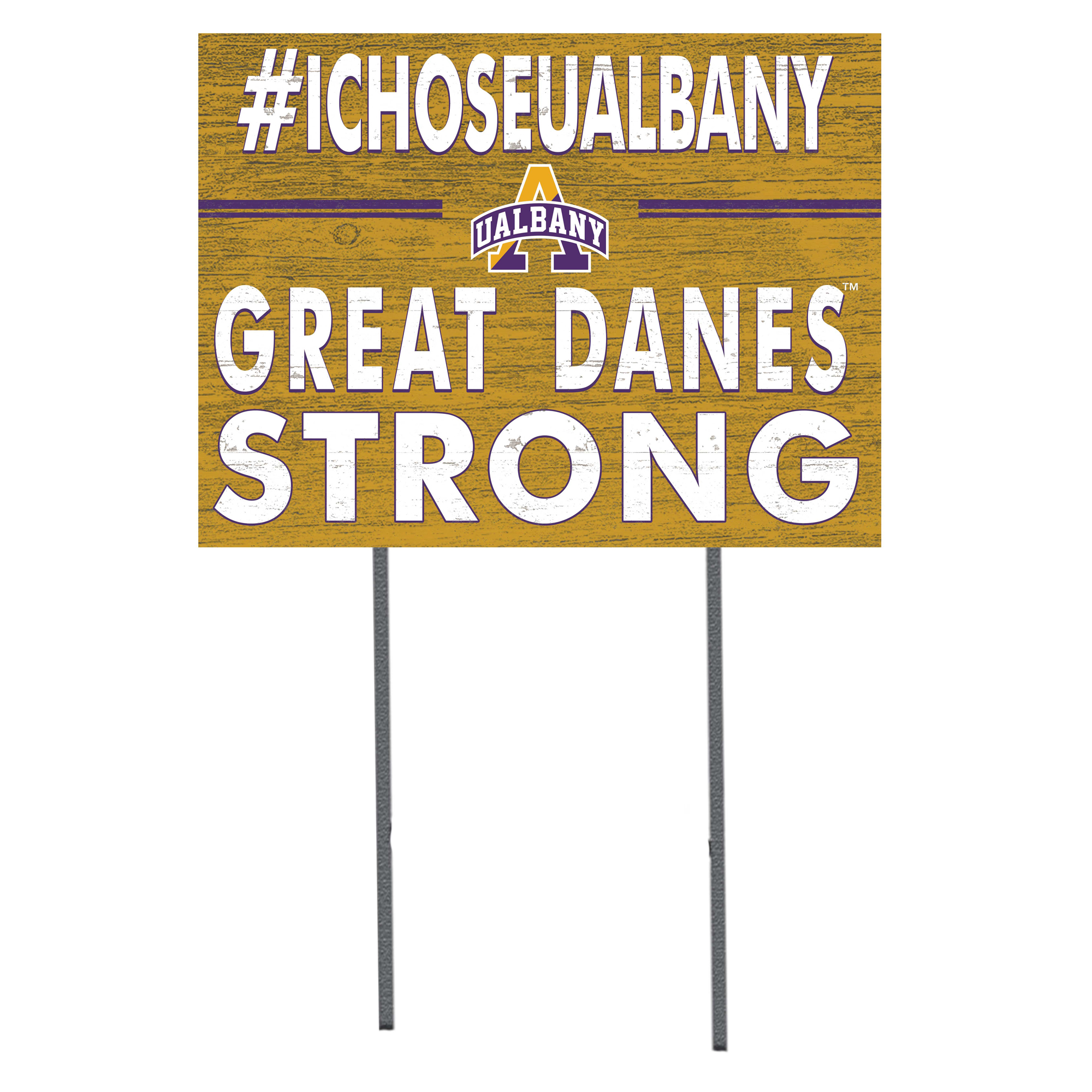 UAlbany Great Danes 18'' x 24'' I Chose Lawn Sign