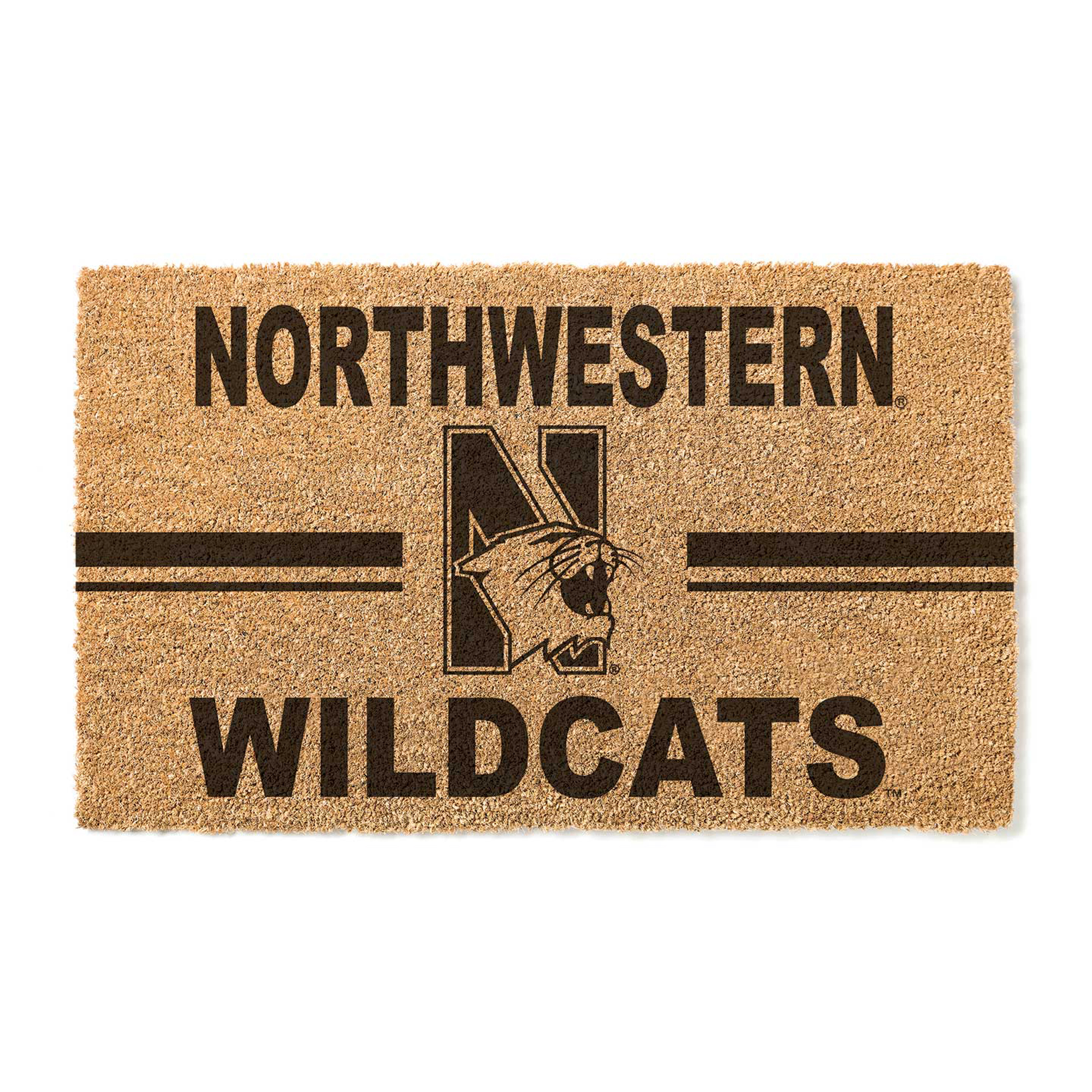 Northwestern Wildcats 18" x 30" Team Logo Doormat