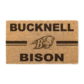 Bucknell Bison 18" x 30" Team Logo Doormat