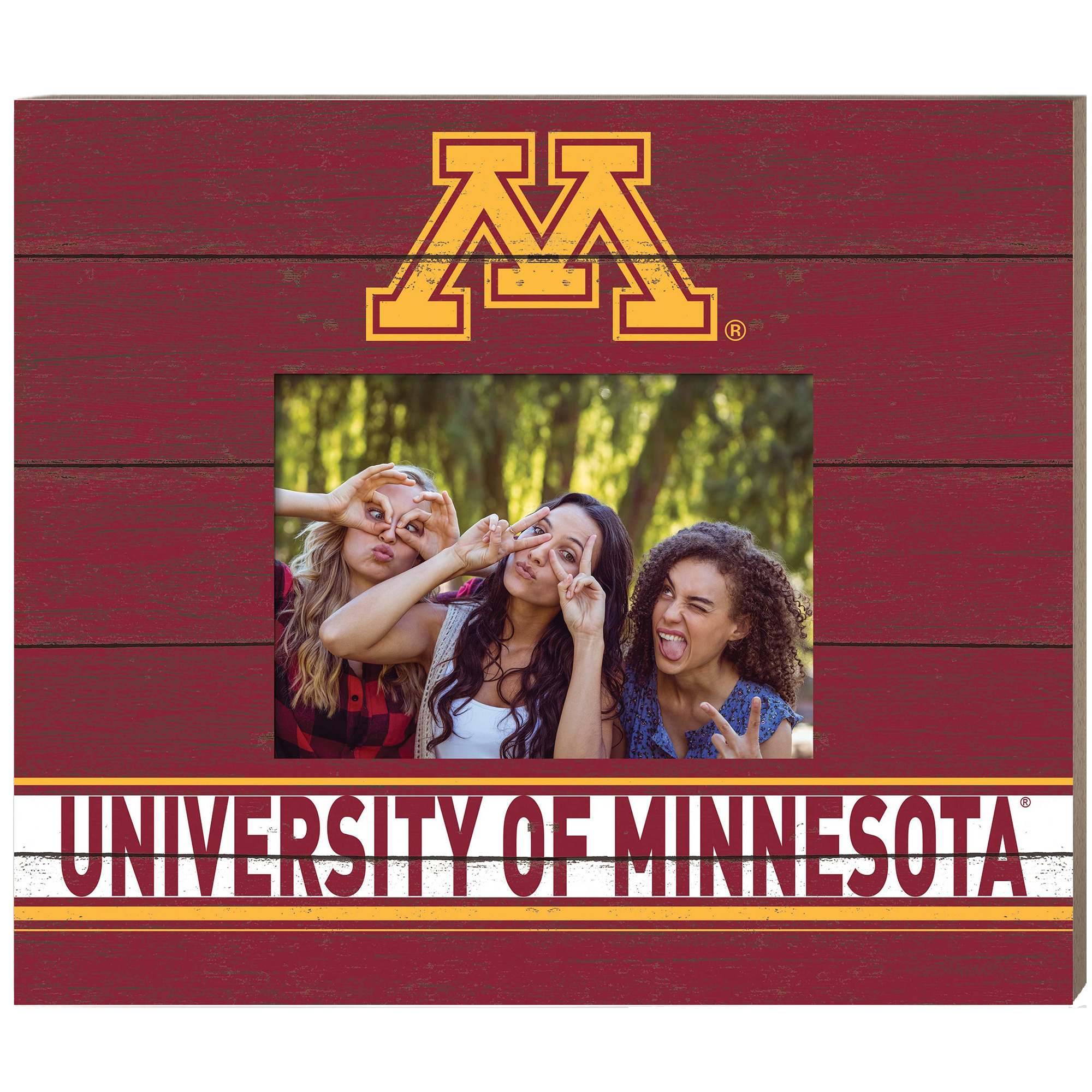Minnesota Golden Gophers 11'' x 13'' Team Spirit Scholastic Picture Frame