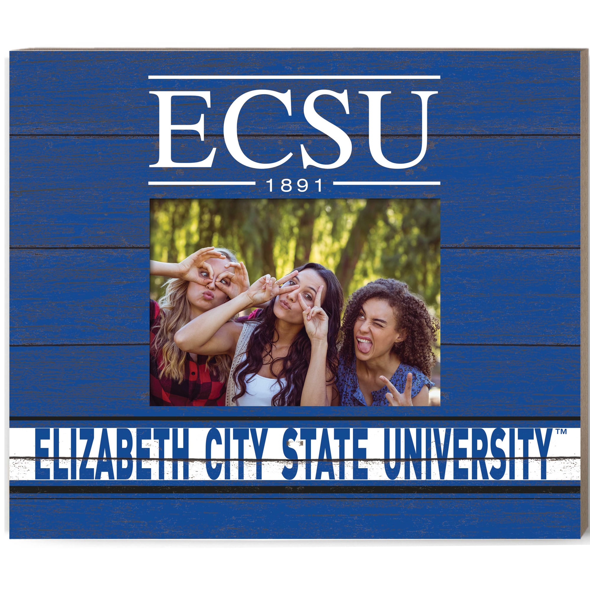 ECSU Vikings 11'' x 13'' Team Spirit Scholastic Picture Frame