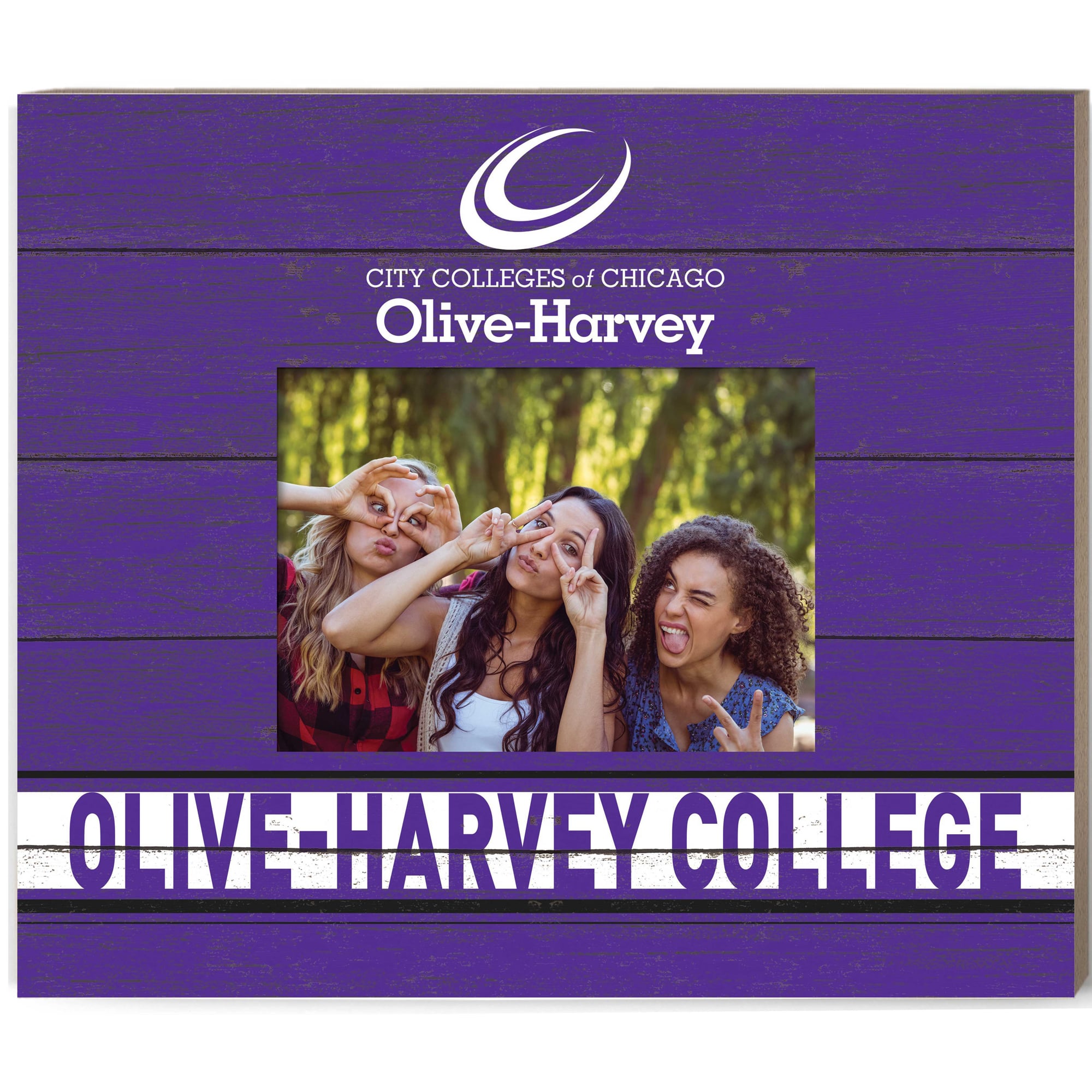 Olive-Harvey College Purple Panthers 11'' x 13'' Team Spirit Scholastic Picture Frame
