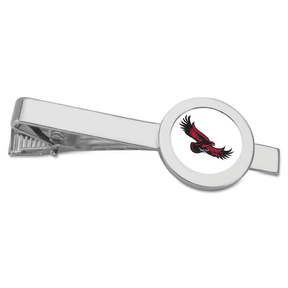 Silver Saint Joseph's Hawks Team Logo Tie Bar