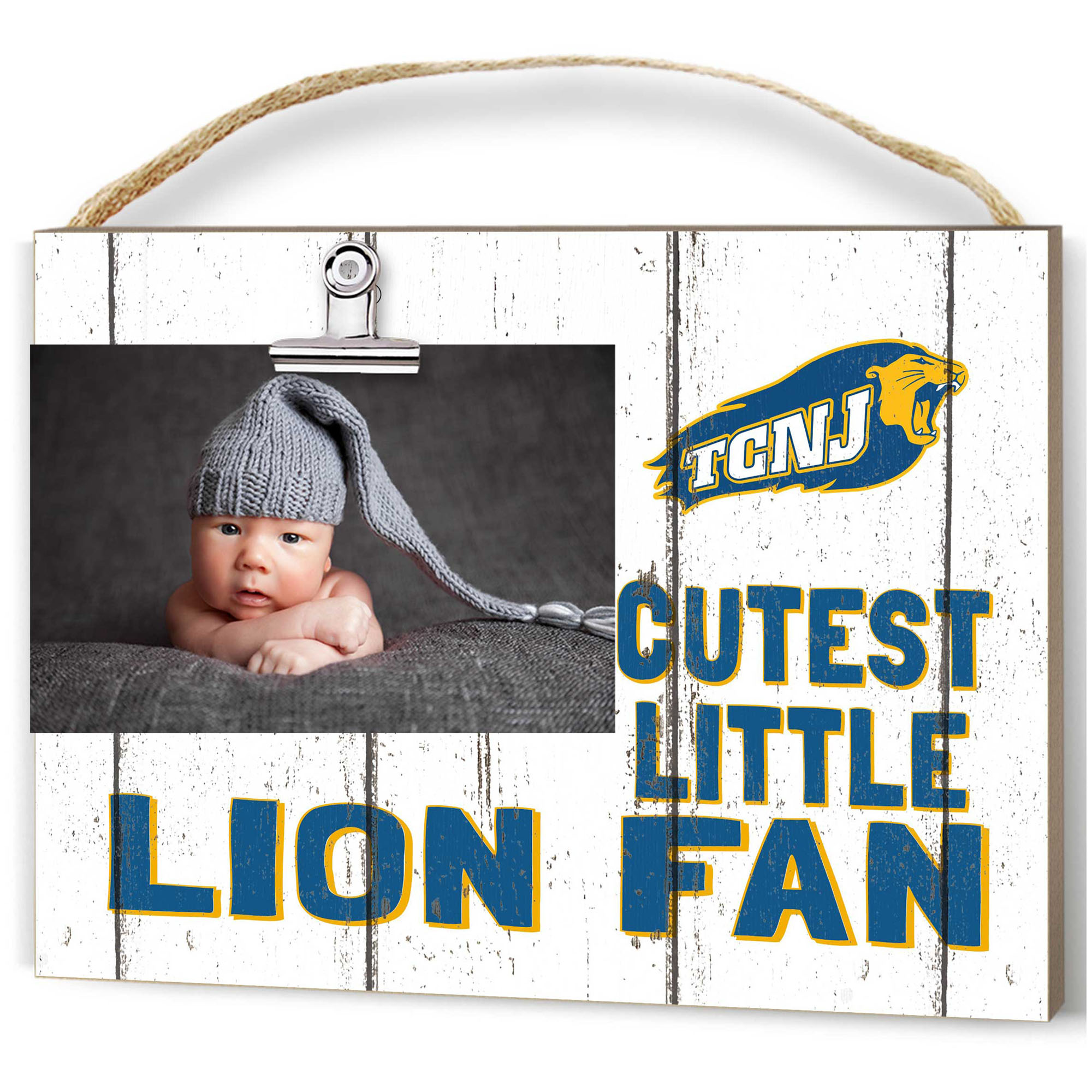 College of New Jersey Lions 16" x 22" Cutest Little Weathered Logo Frame