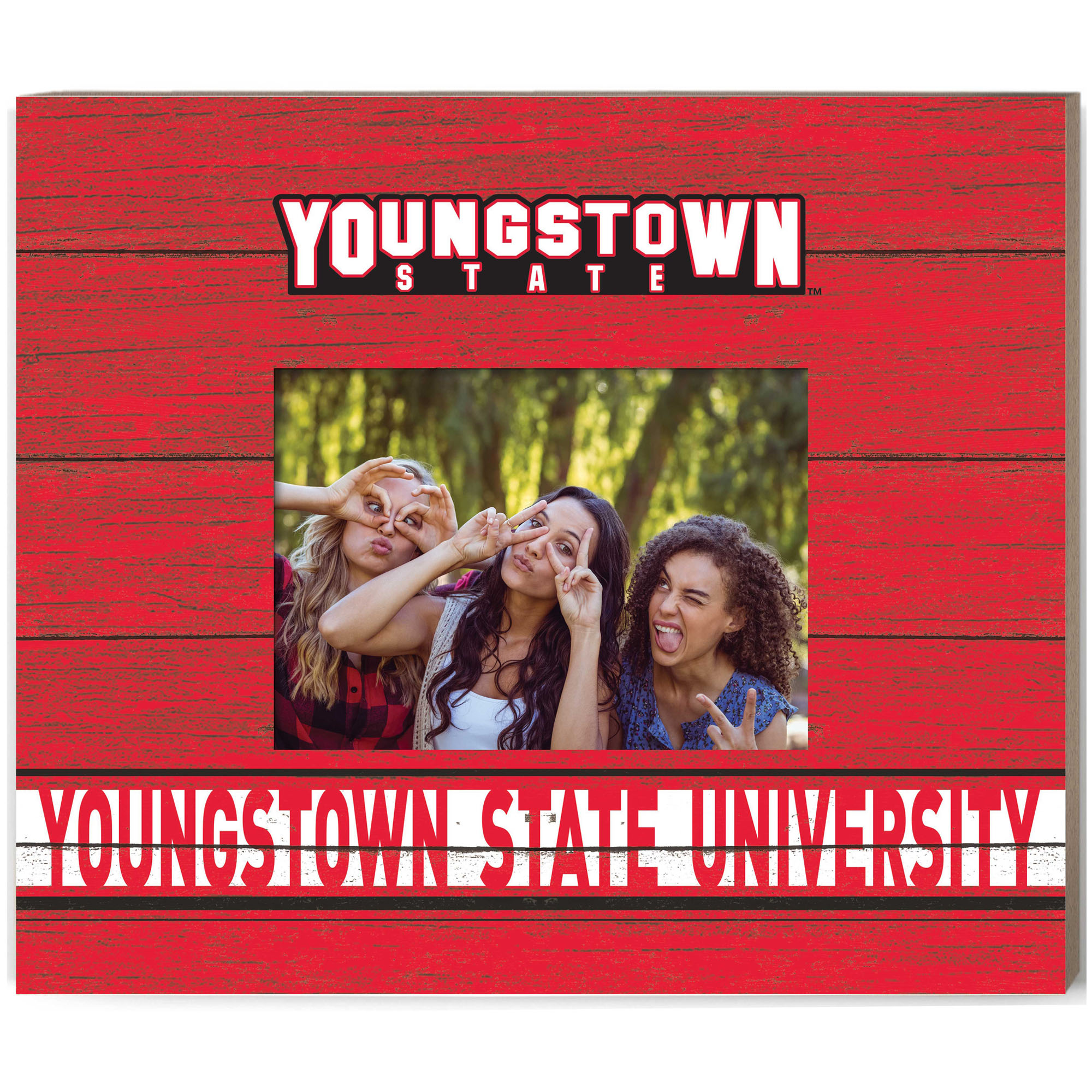 Youngstown State Penguins 11" x 13" Team Spirit Scholastic Picture Frame