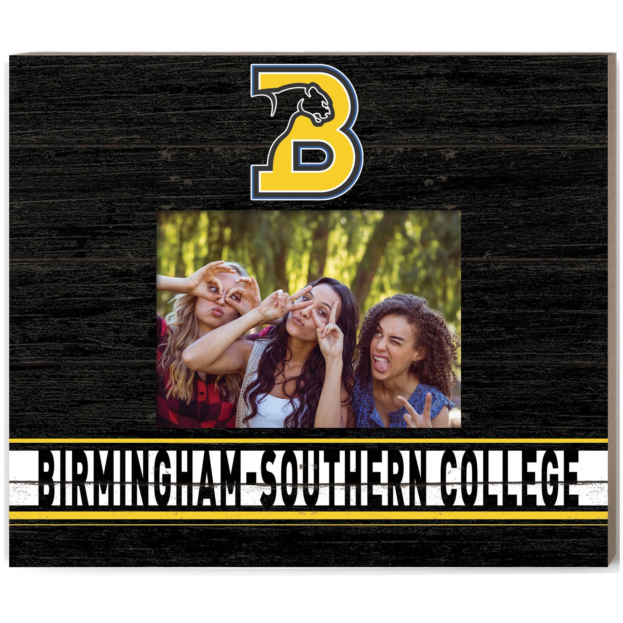 Birmingham-Southern Panthers 11" x 13" Team Spirit Scholastic Picture Frame