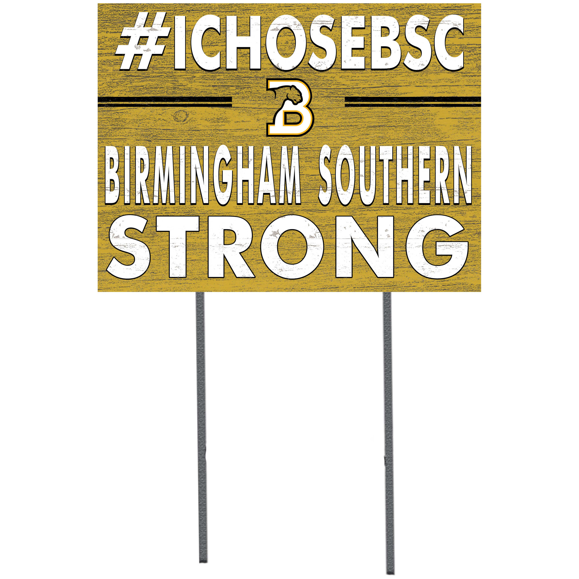 Birmingham-Southern Panthers 18'' x 24'' I Chose Lawn Sign