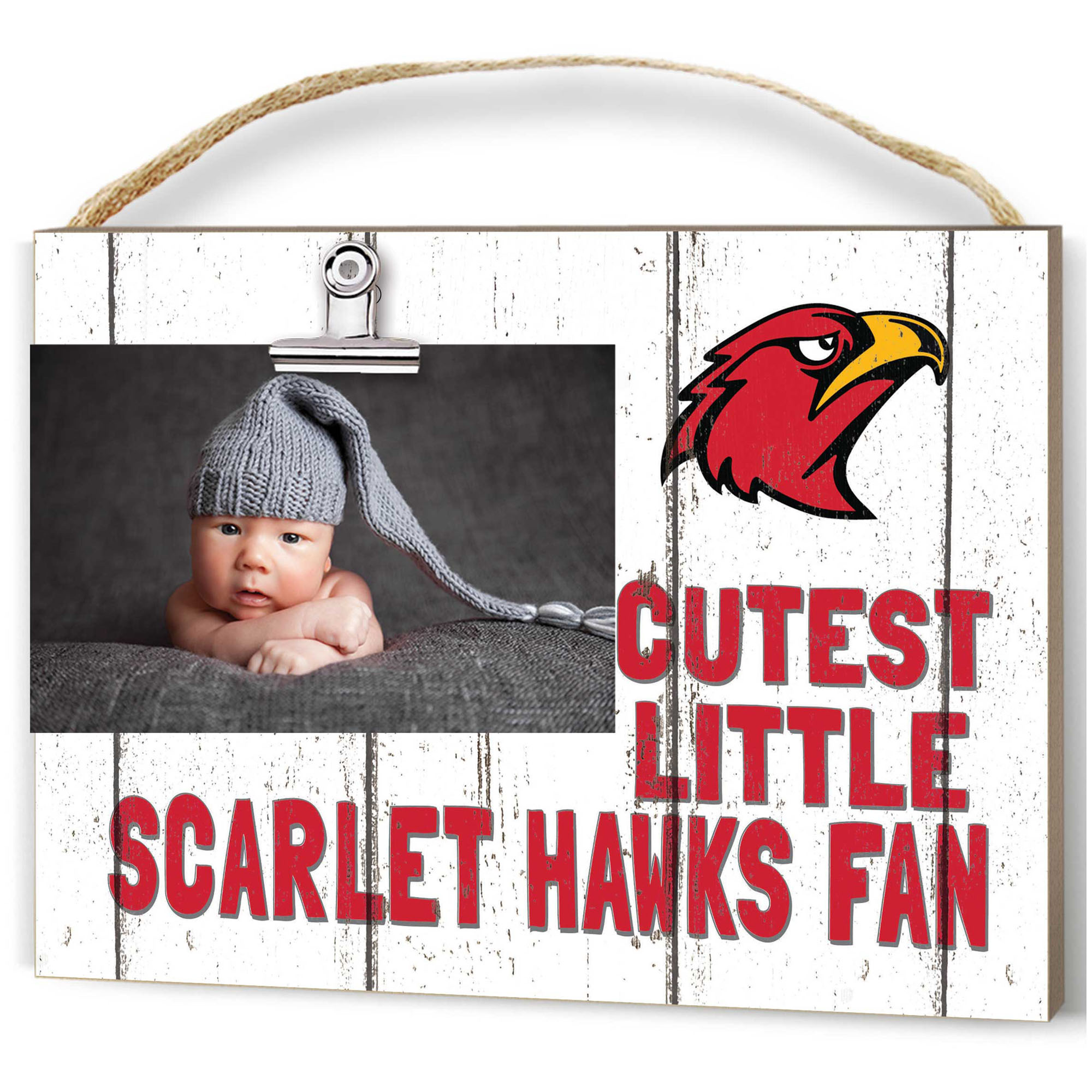 Illinois Tech Scarlet Hawks 8'' x 10'' Cutest Little Weathered Logo Clip Photo Frame
