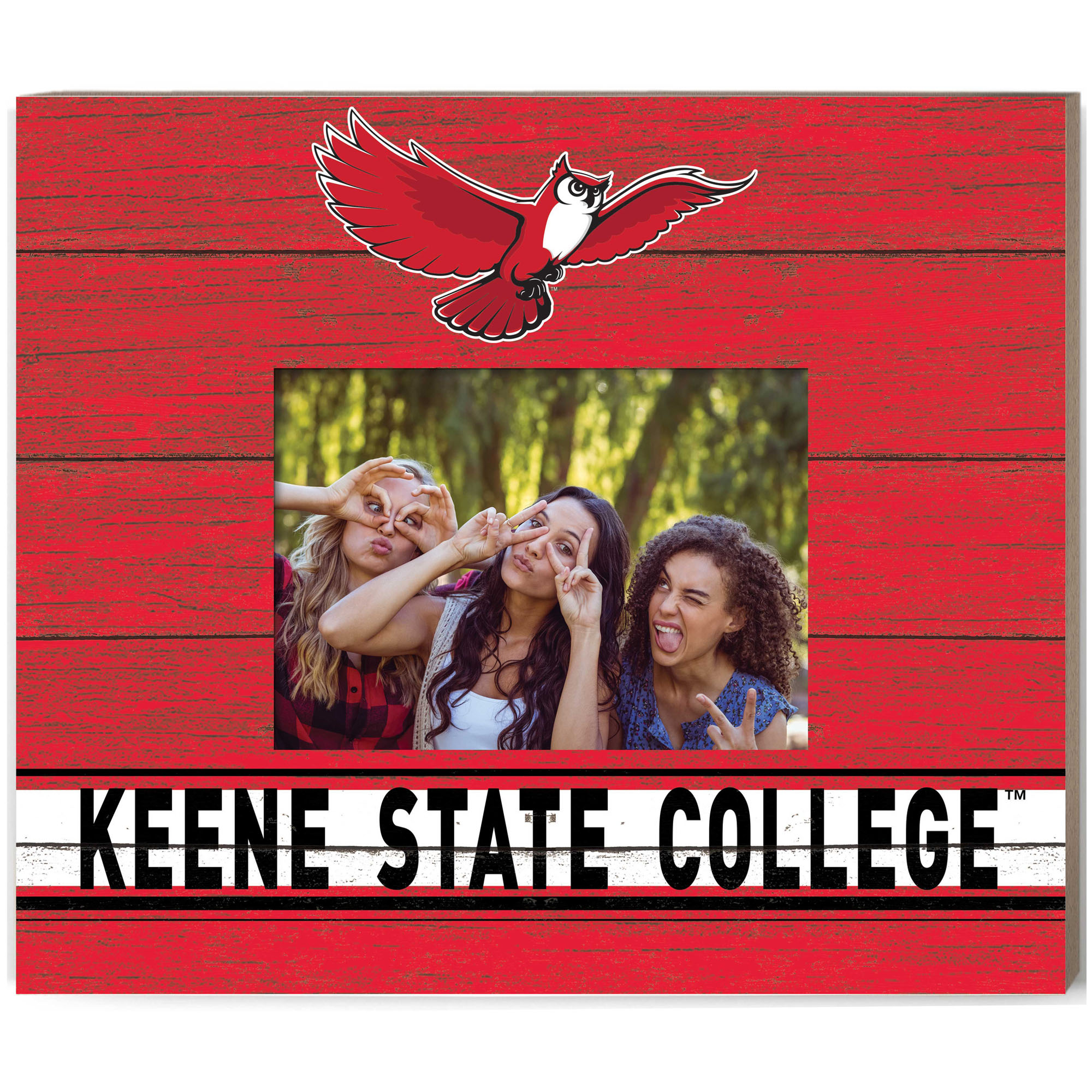 Keene State Owls 11'' x 13'' Team Spirit Scholastic Picture Frame