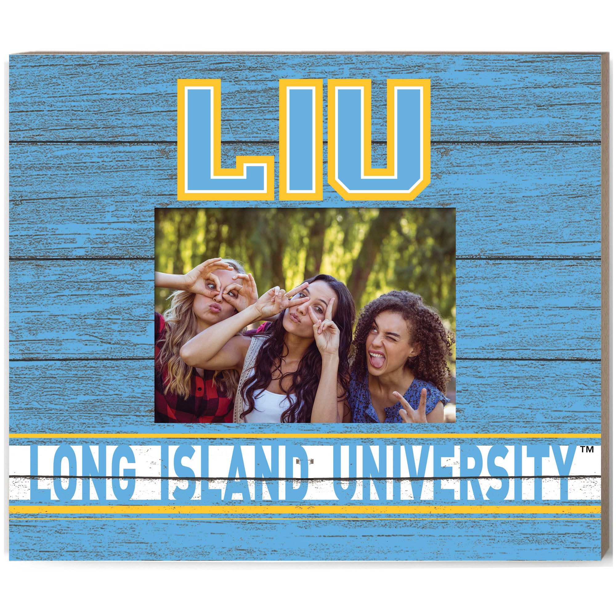 LIU Sharks 11'' x 13'' Team Spirit Scholastic Picture Frame