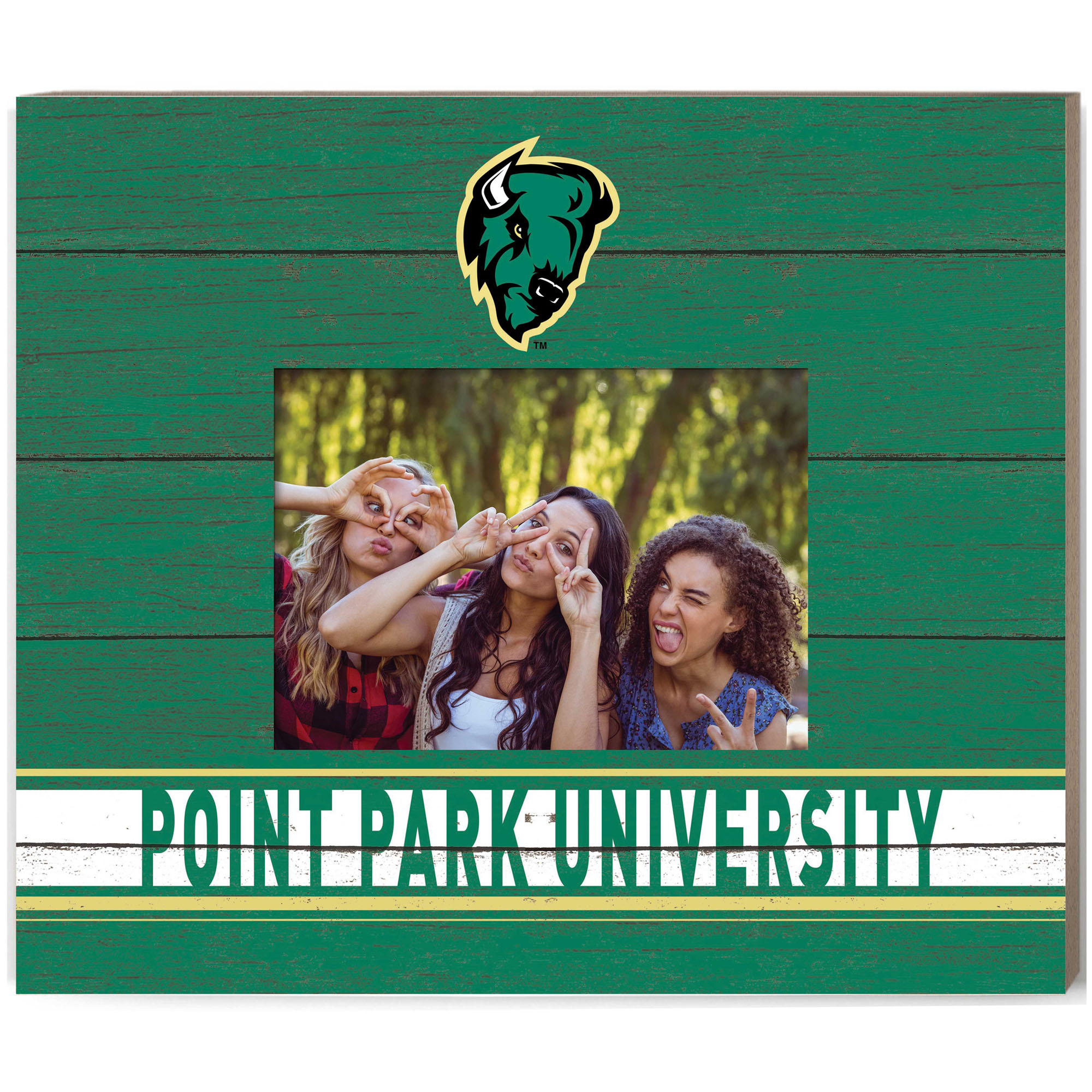 Point Park Pioneers 11'' x 13'' Team Spirit Scholastic Picture Frame