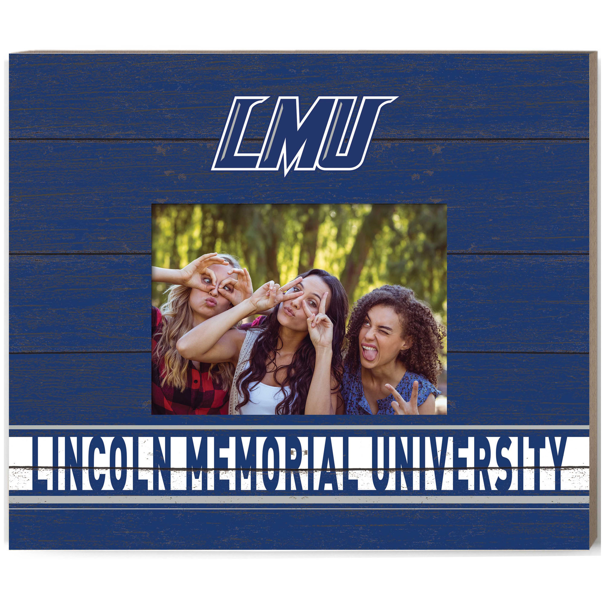 Lincoln Memorial Railsplitters 11'' x 13'' Team Spirit Scholastic Picture Frame