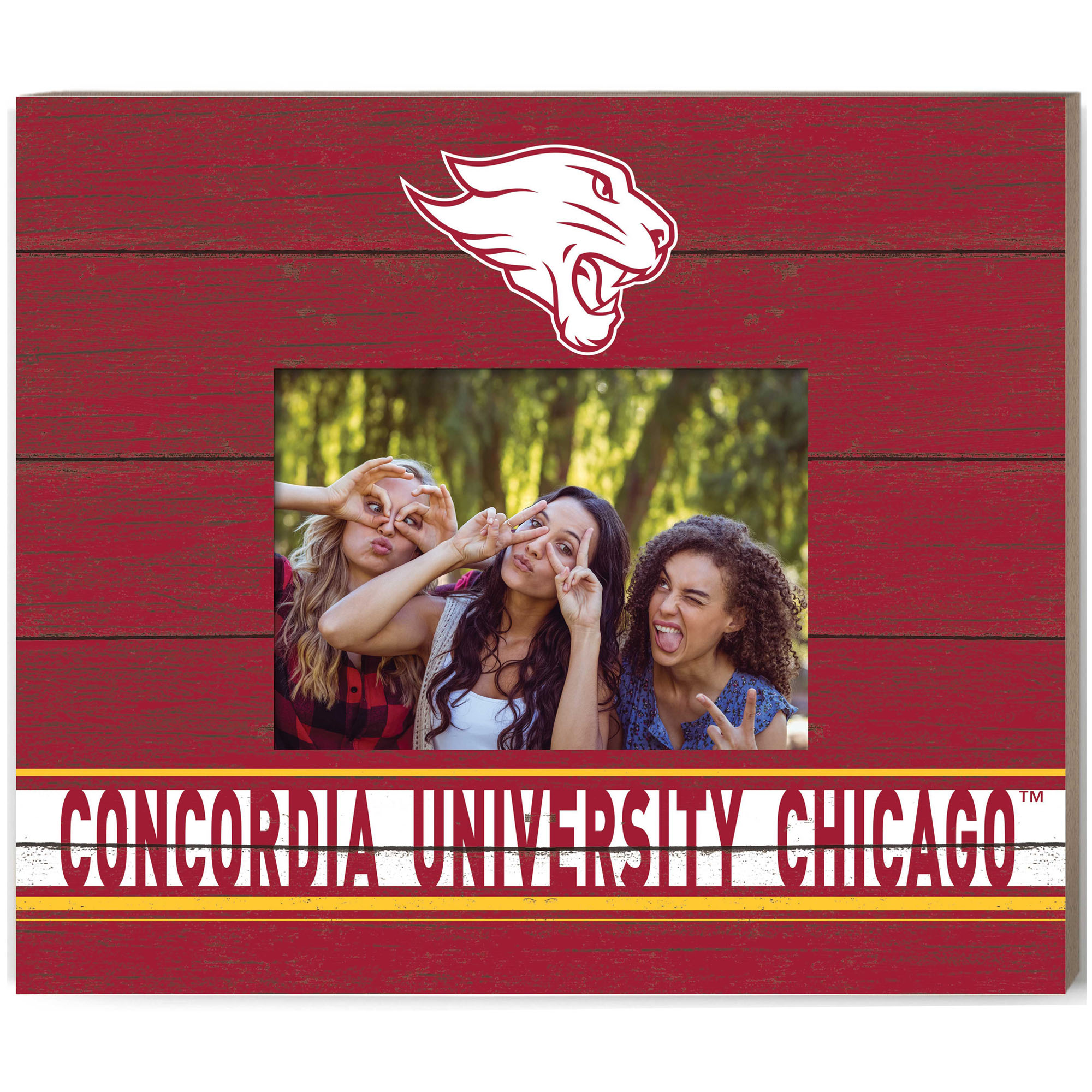 Concordia University (IL) Cougars 11'' x 13'' Team Spirit Scholastic Picture Frame