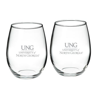 North Georgia Nighthawks Two-Piece 21oz. Stemless Wine Glass Set