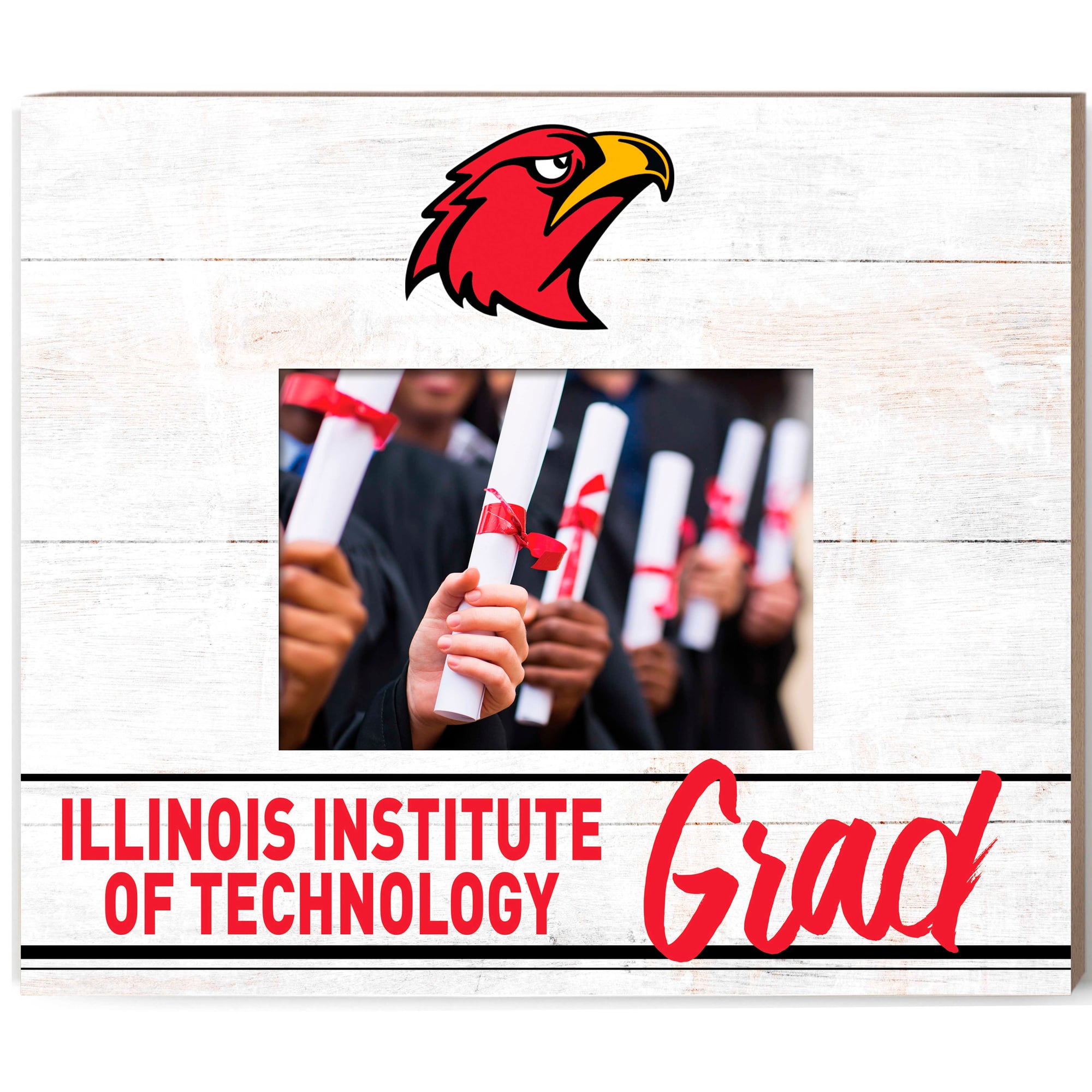 Illinois Tech Scarlet Hawks  13.5" x 11.5" Grad Frame