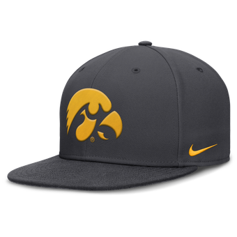 Men's Nike Anthracite Iowa Hawkeyes Pro Dri-FIT Fitted Hat