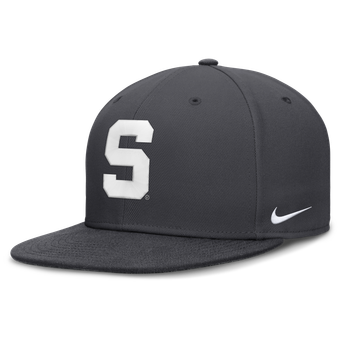 Men's Nike Anthracite Michigan State Spartans Pro Dri-FIT Fitted Hat