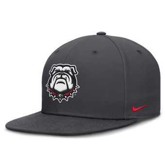 Men's Nike Anthracite Georgia Bulldogs Pro Dri-FIT Fitted Hat