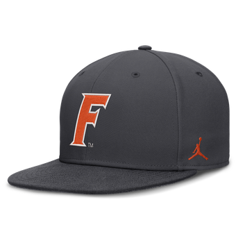 Men's Jordan Brand Anthracite Florida Gators Pro Dri-FIT Fitted Hat