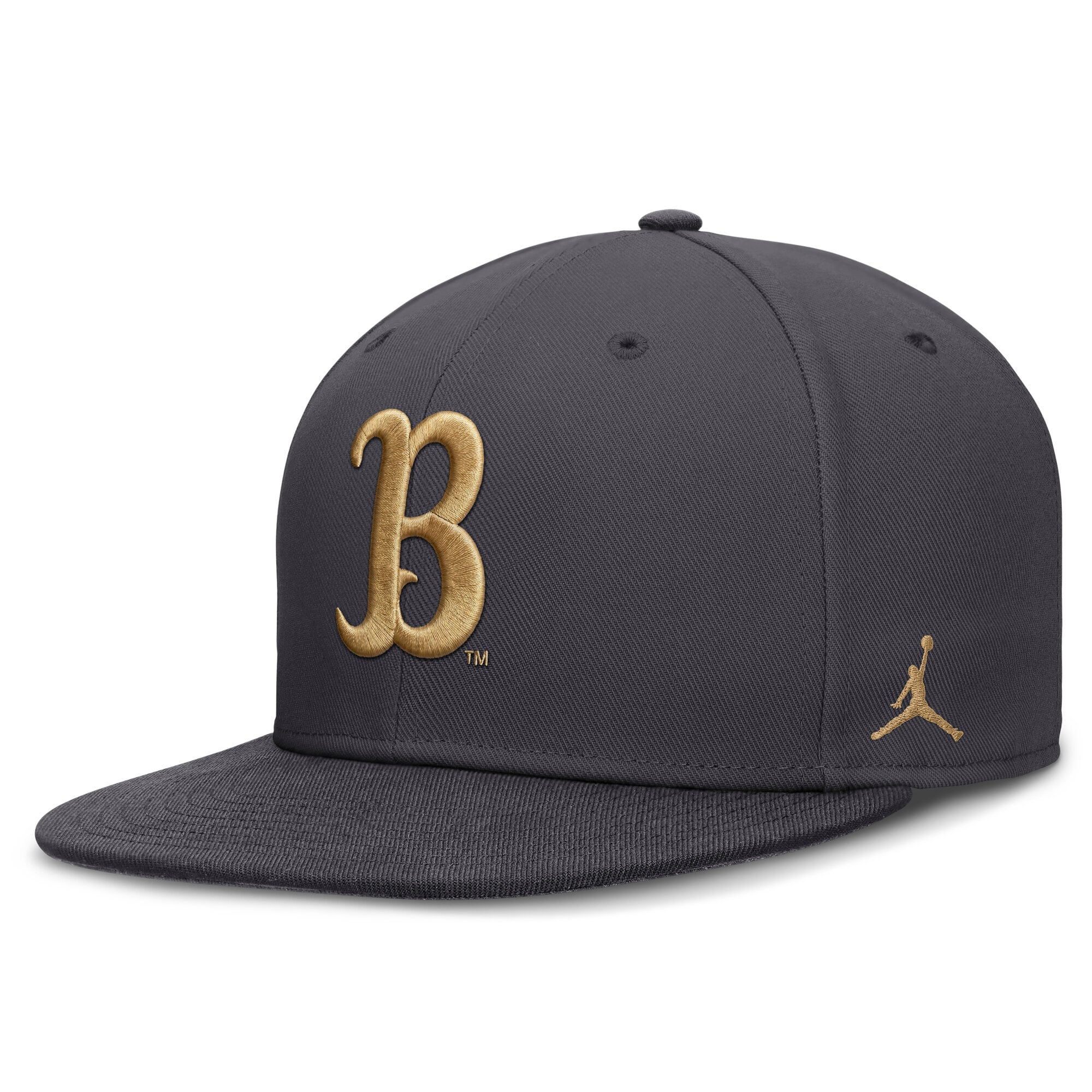 Men's Jordan Brand Anthracite UCLA Bruins Pro Dri-FIT Fitted Hat
