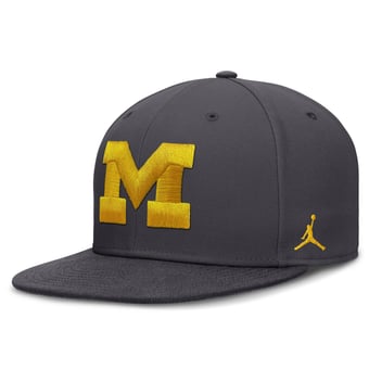 Men's Jordan Brand Anthracite Michigan Wolverines Pro Dri-FIT Fitted Hat