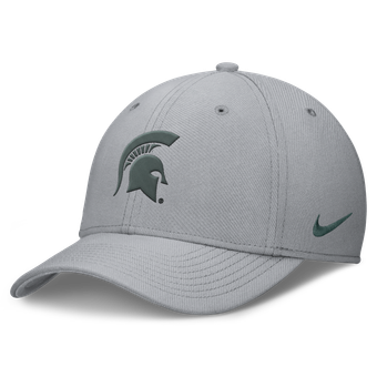 Men's Nike Gray Michigan State Spartans Rise SwooshFlex Dri-FIT Hat
