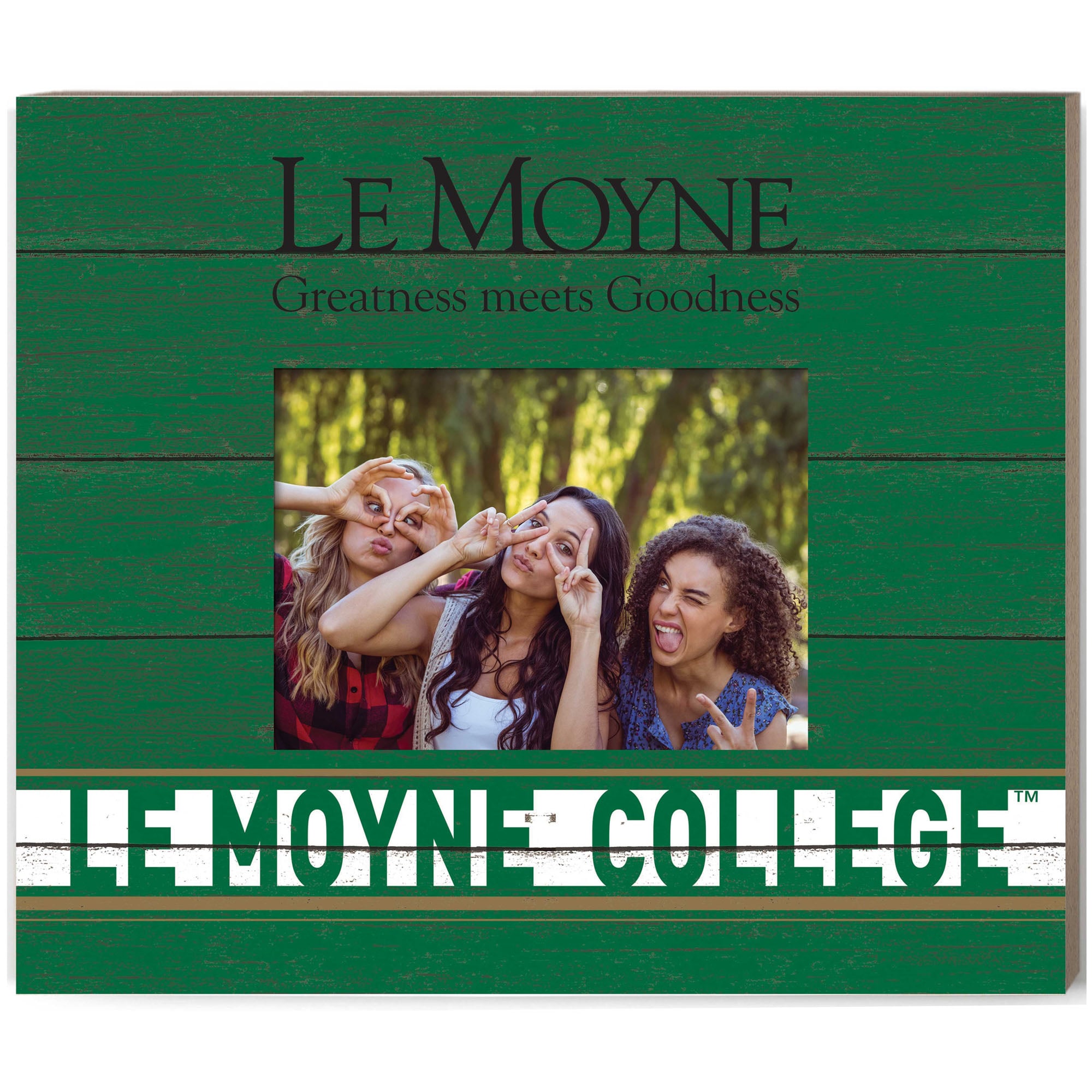 Le Moyne Dolphins 11'' x 13'' Team Spirit Scholastic Picture Frame
