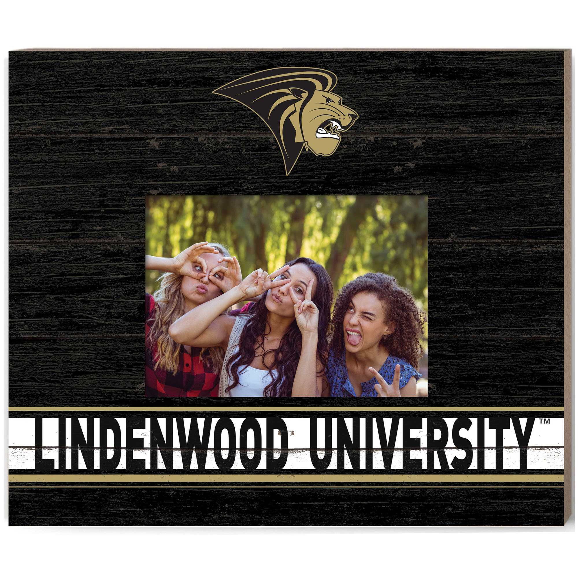 Lindenwood Lions 11'' x 13'' Team Spirit Scholastic Picture Frame