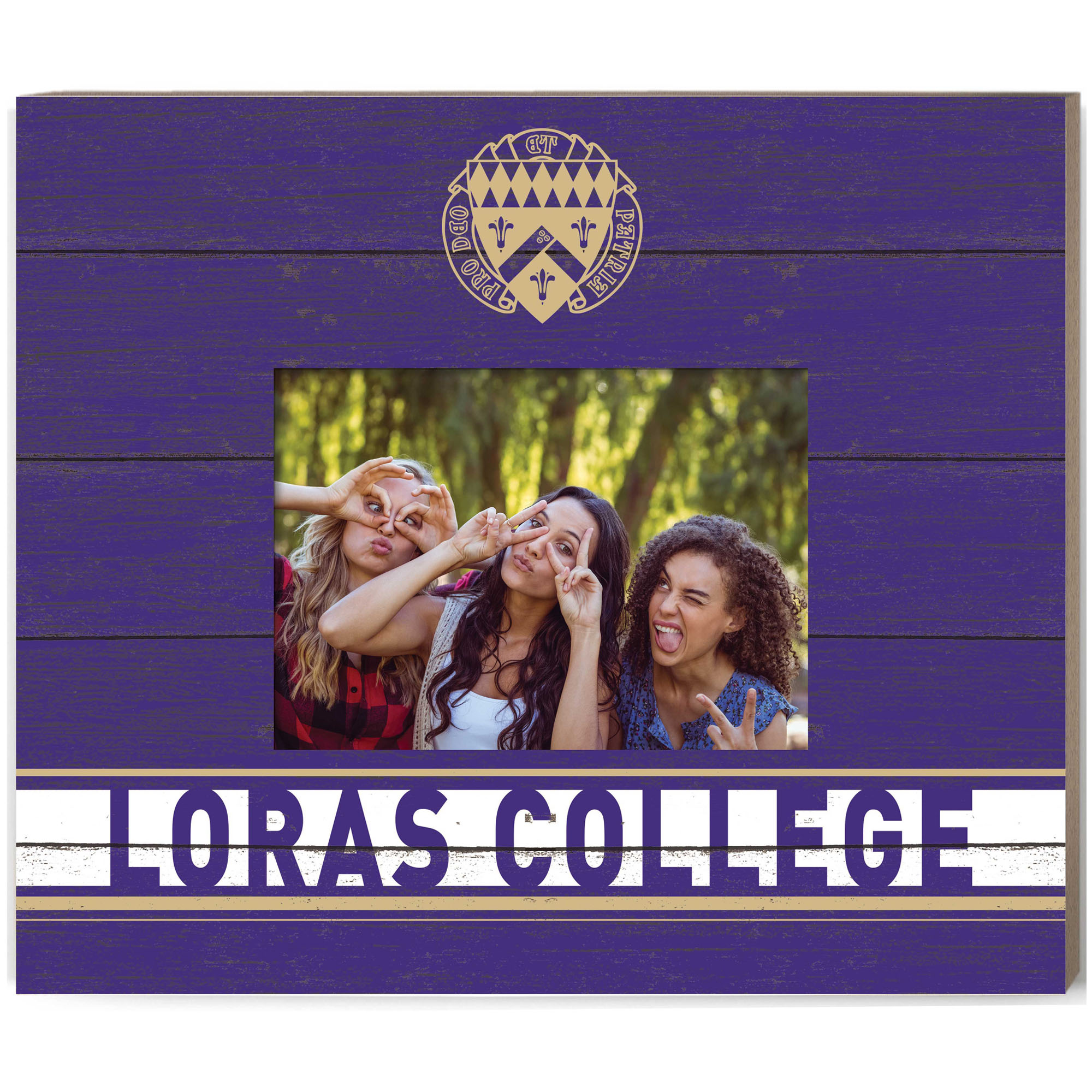 Loras College Duhawks 11'' x 13'' Team Spirit Scholastic Picture Frame