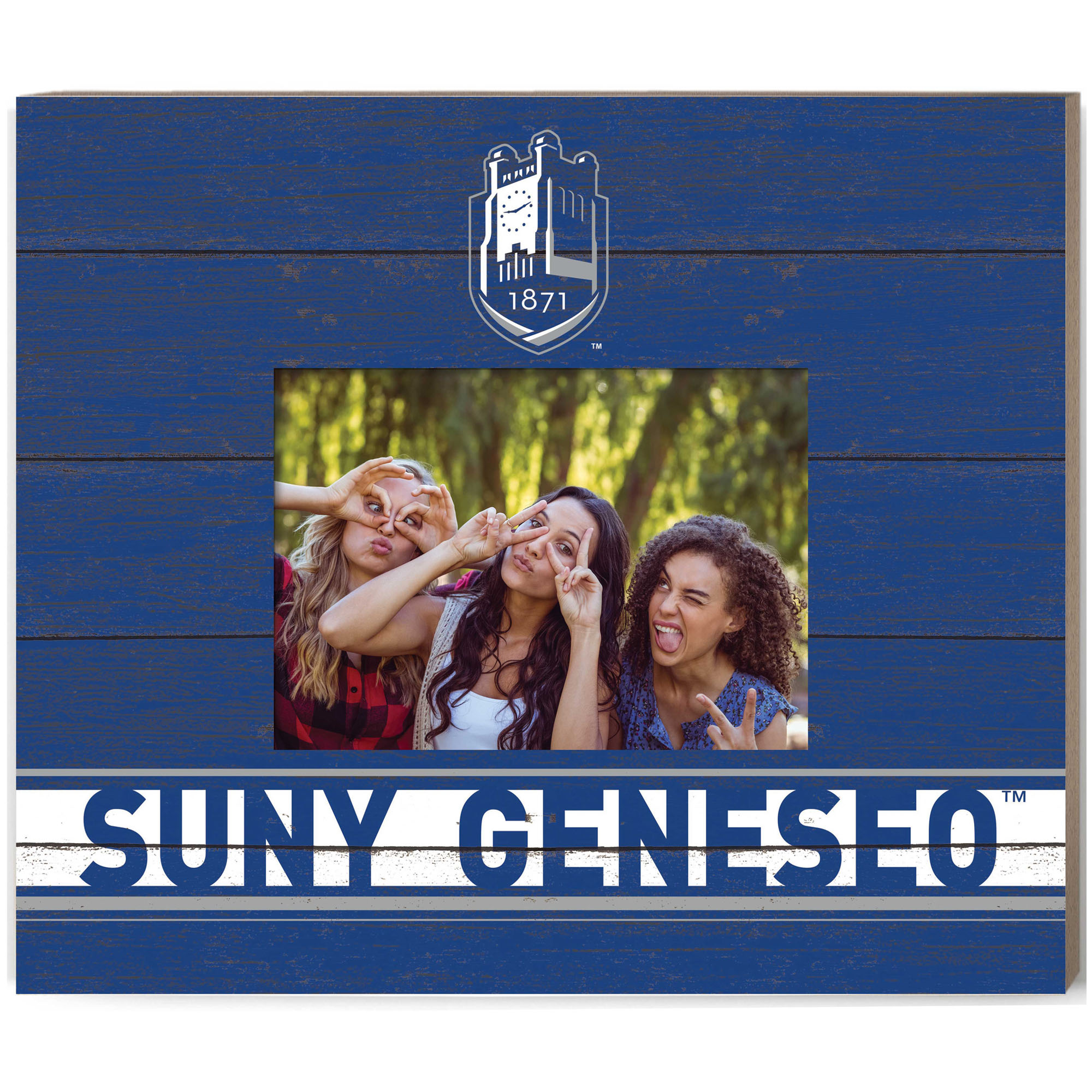 SUNY Geneseo Knights 11'' x 13'' Team Spirit Scholastic Picture Frame
