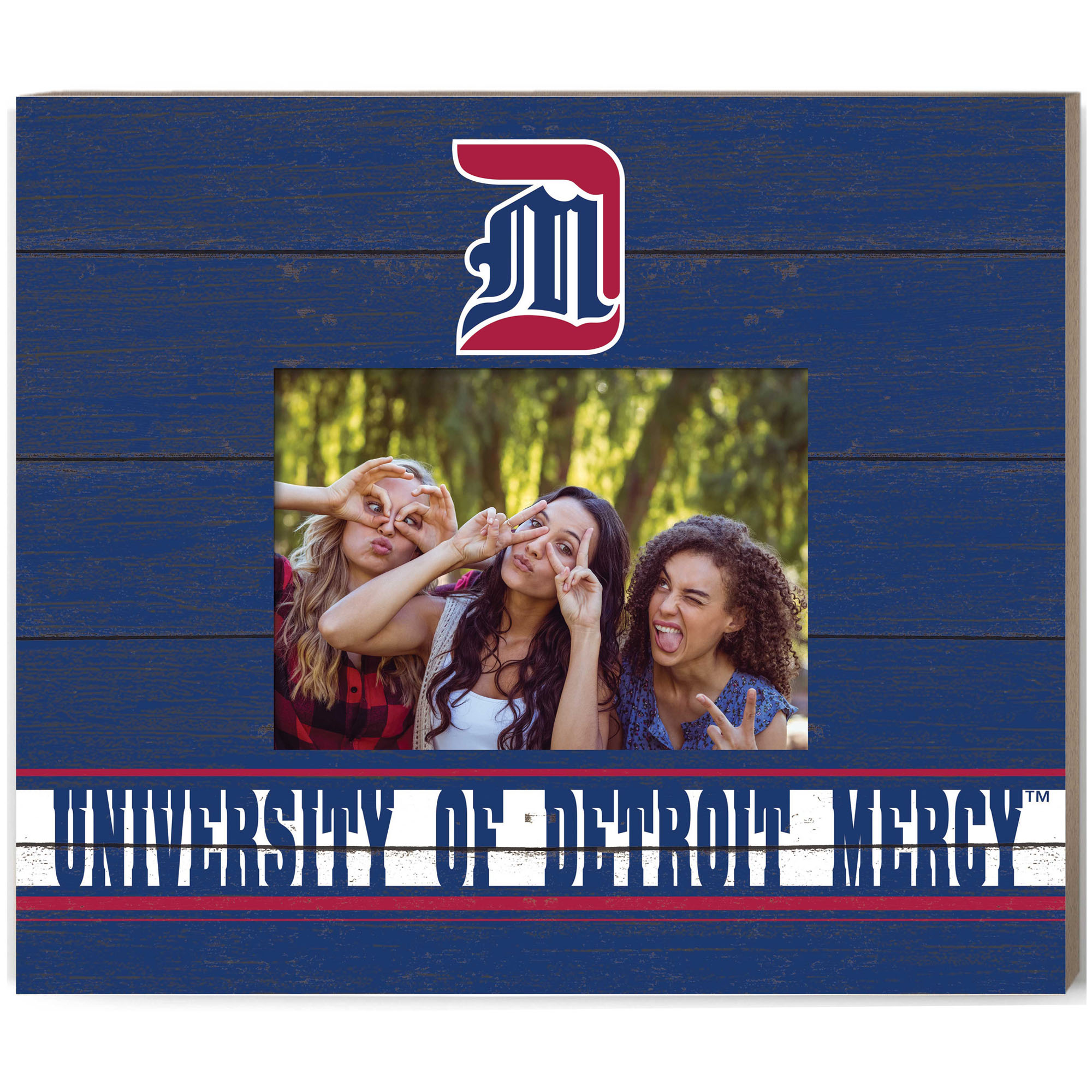 Detroit Mercy Titans 11'' x 13'' Team Spirit Scholastic Picture Frame
