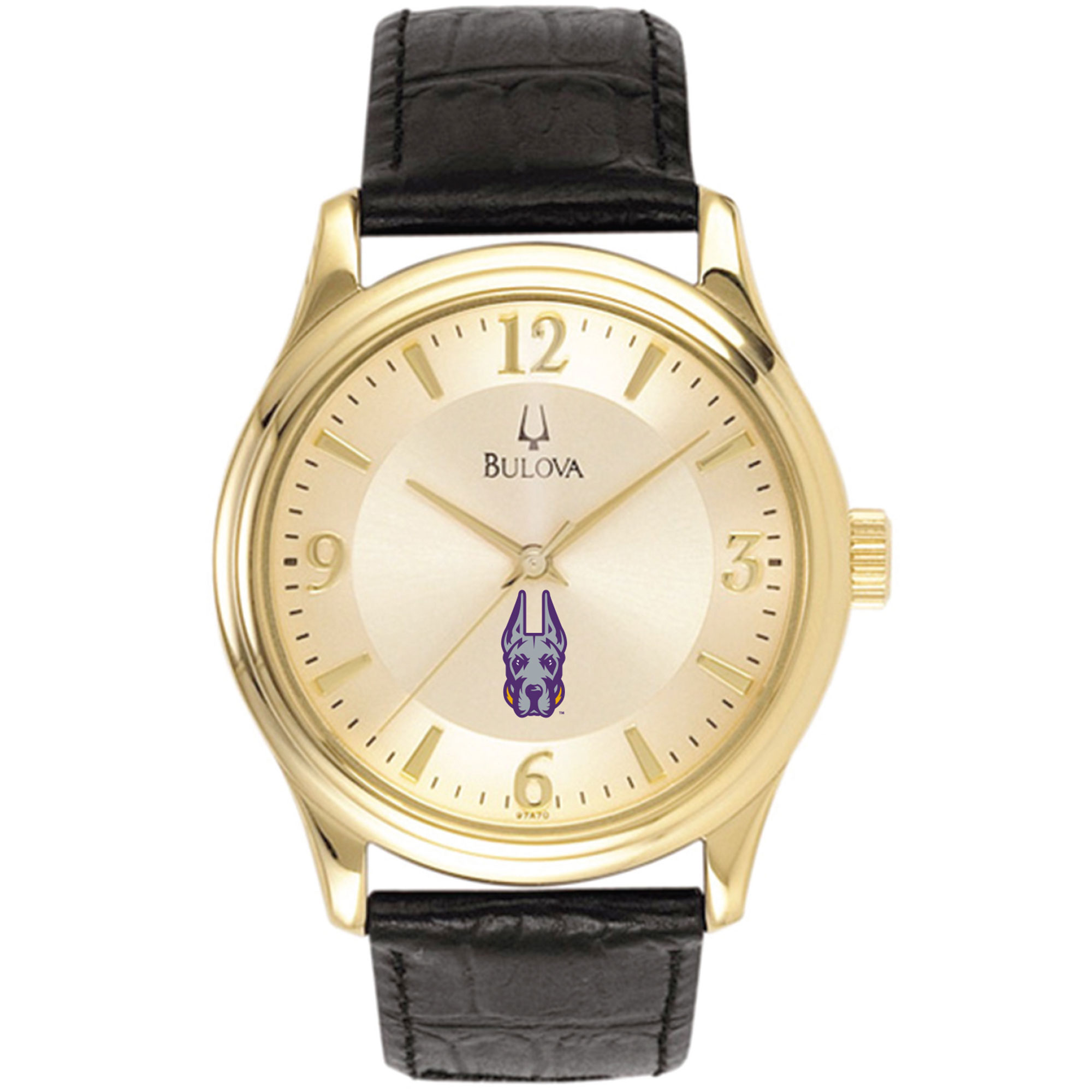 Men's Bulova  Gold/Black UAlbany Great Danes Stainless Steel Watch with Leather Band