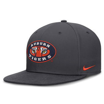Men's Nike Anthracite Auburn Tigers Pro Dri-FIT Fitted Hat