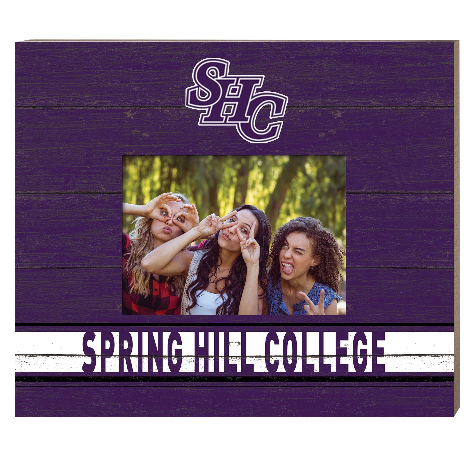 Spring Hill Badgers 11" x 13" Team Spirit Scholastic Picture Frame