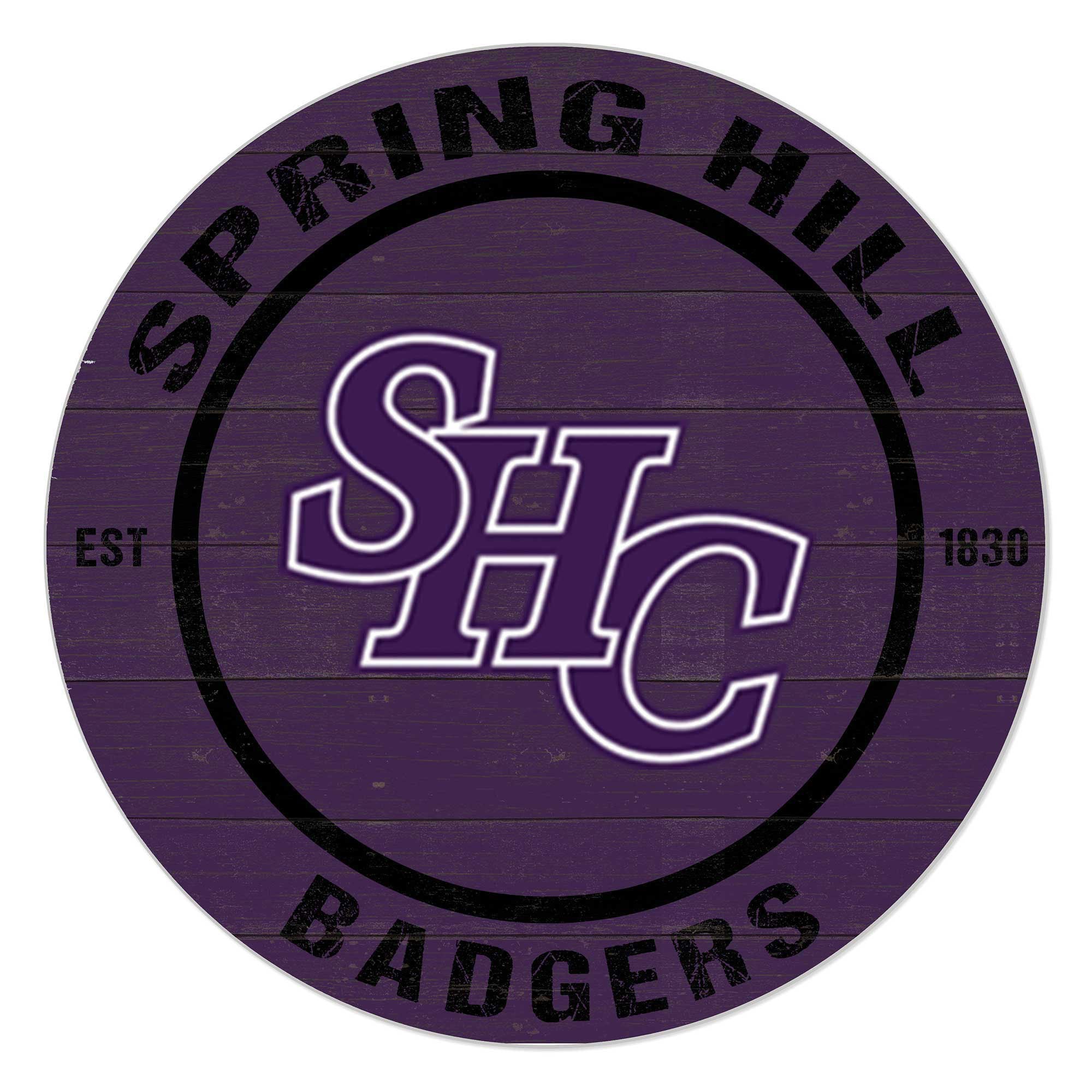 Spring Hill Badgers 20" Indoor/Outdoor Team Color Circle Sign