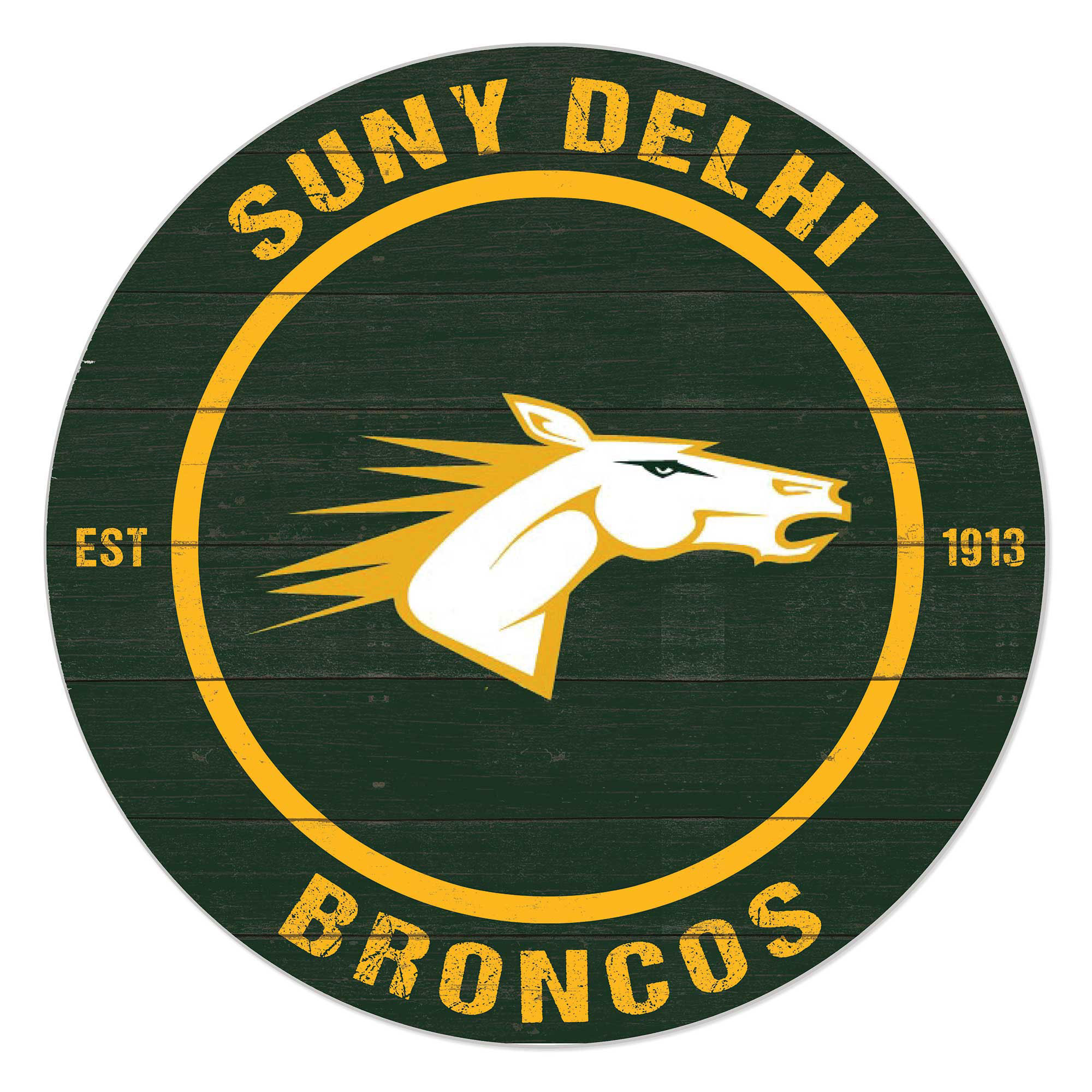 SUNY Delhi Broncos 20" Indoor/Outdoor Team Color Circle Sign