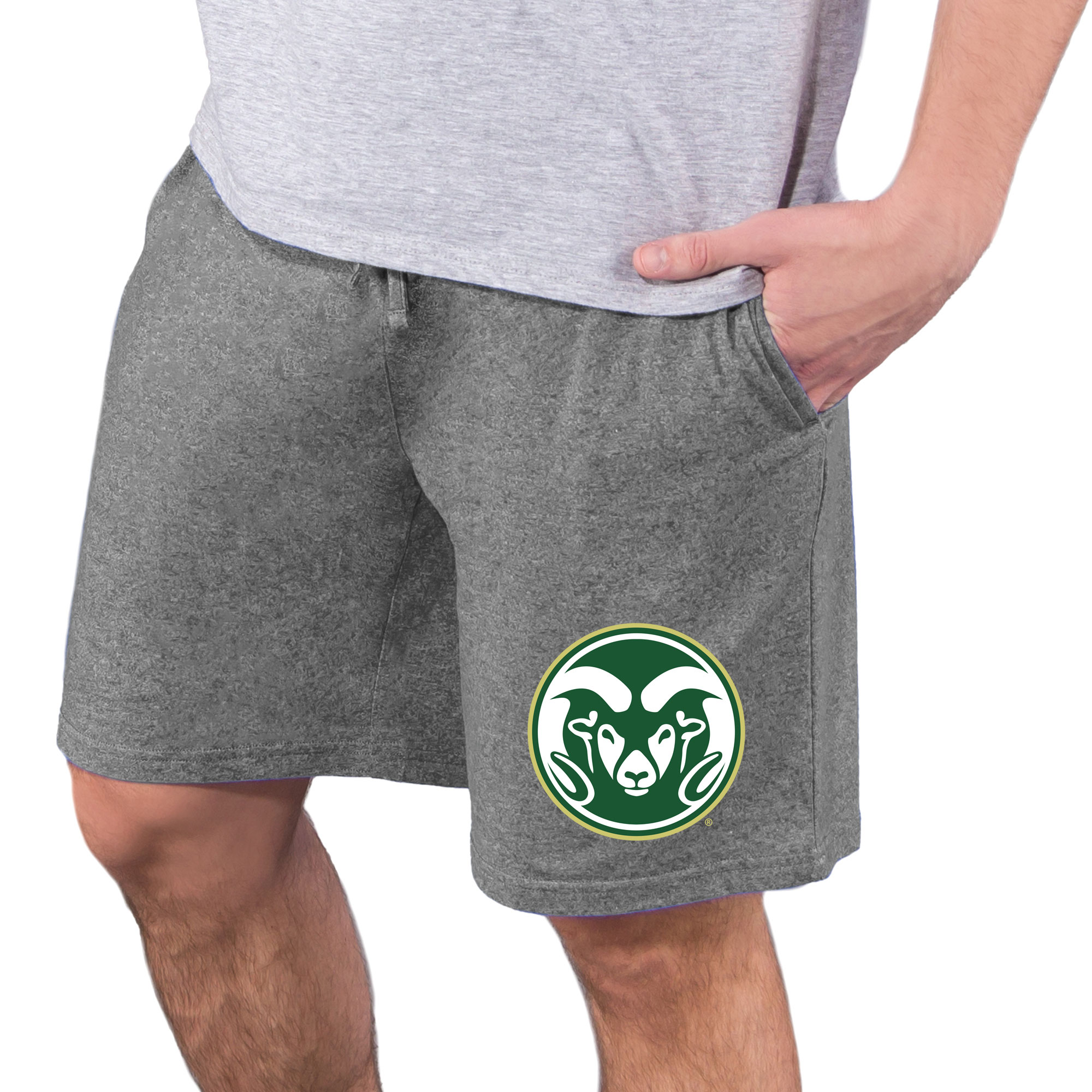 Men's Concepts Sport  Charcoal Colorado State Rams Quest Knit Jam Shorts