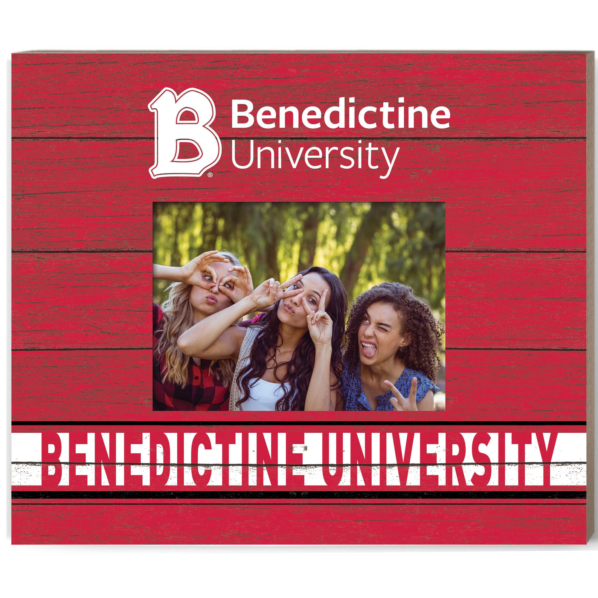 Benedictine Eagles 11" x 13" Team Spirit Scholastic Picture Frame