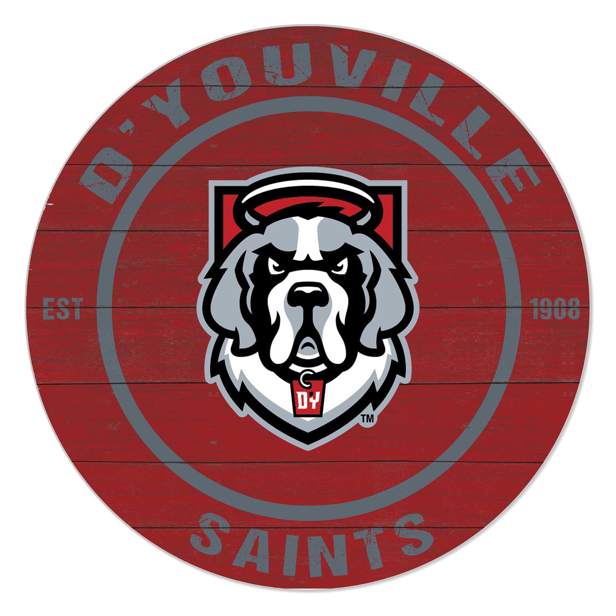 D'youville Saints 20'' x 20'' Indoor/Outdoor Team Color Circle Sign