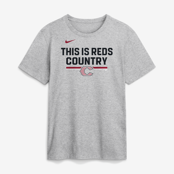 Men's Nike Heather Gray Cincinnati Reds 2026 City Connect Stacked Team Phrase T-Shirt