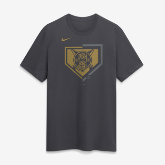 Men's Nike Anthracite Pittsburgh Pirates 2026 City Connect Dri-FIT T-Shirt