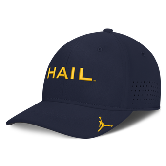 Men's Jordan Brand Navy Michigan Wolverines Gameday Aerobill Swooshflex Dri-FIT Hat