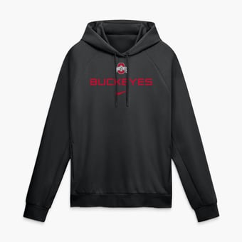 Men's Nike Black Ohio State Buckeyes Premium Performance Raglan Dri-FIT Hoodie