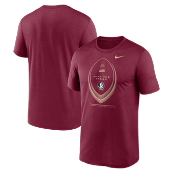 Men's Nike Garnet Florida State Seminoles Primetime Legend Football Icon Dri-FIT T-Shirt