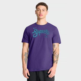 Men's Nike Purple Arizona Diamondbacks City Connect Wordmark T-Shirt