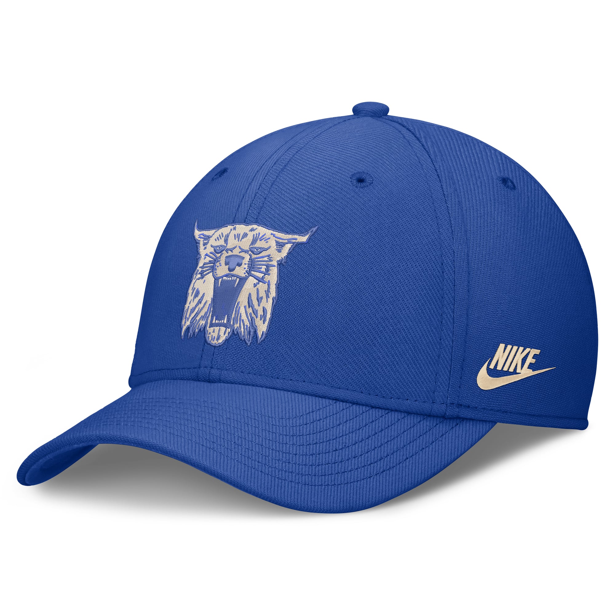Men's Nike  Royal Kentucky Wildcats Dri-FIT Vintage Rise Swooshflex Flex Hat