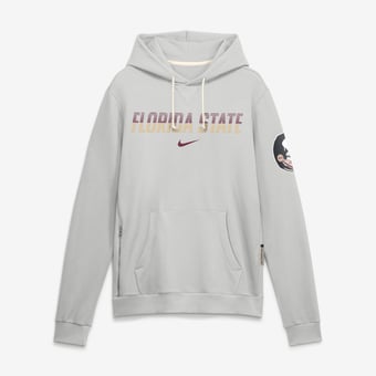 Men's Nike Gray Florida State Seminoles 2026 Sideline Standard Issue Dri-FIT Hoodie